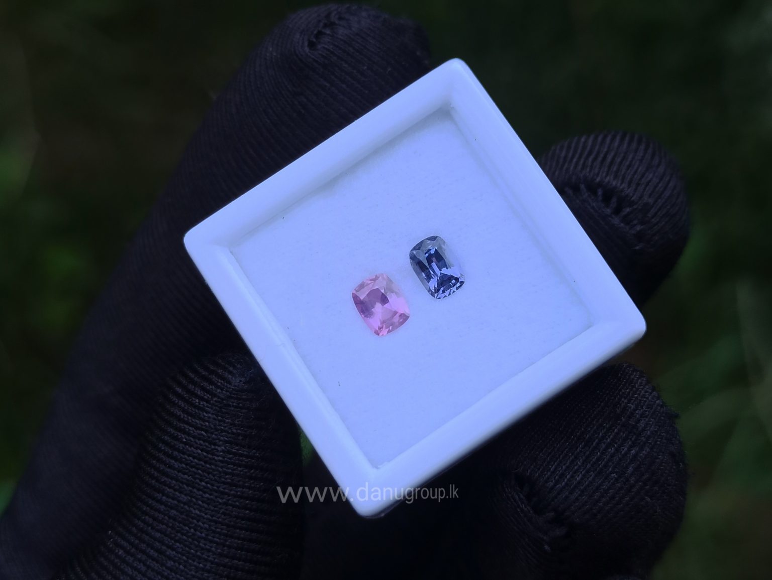 danugroup.lk - ceylon natural Violet Sapphire and pink sapphire Couple danu group Gemstones