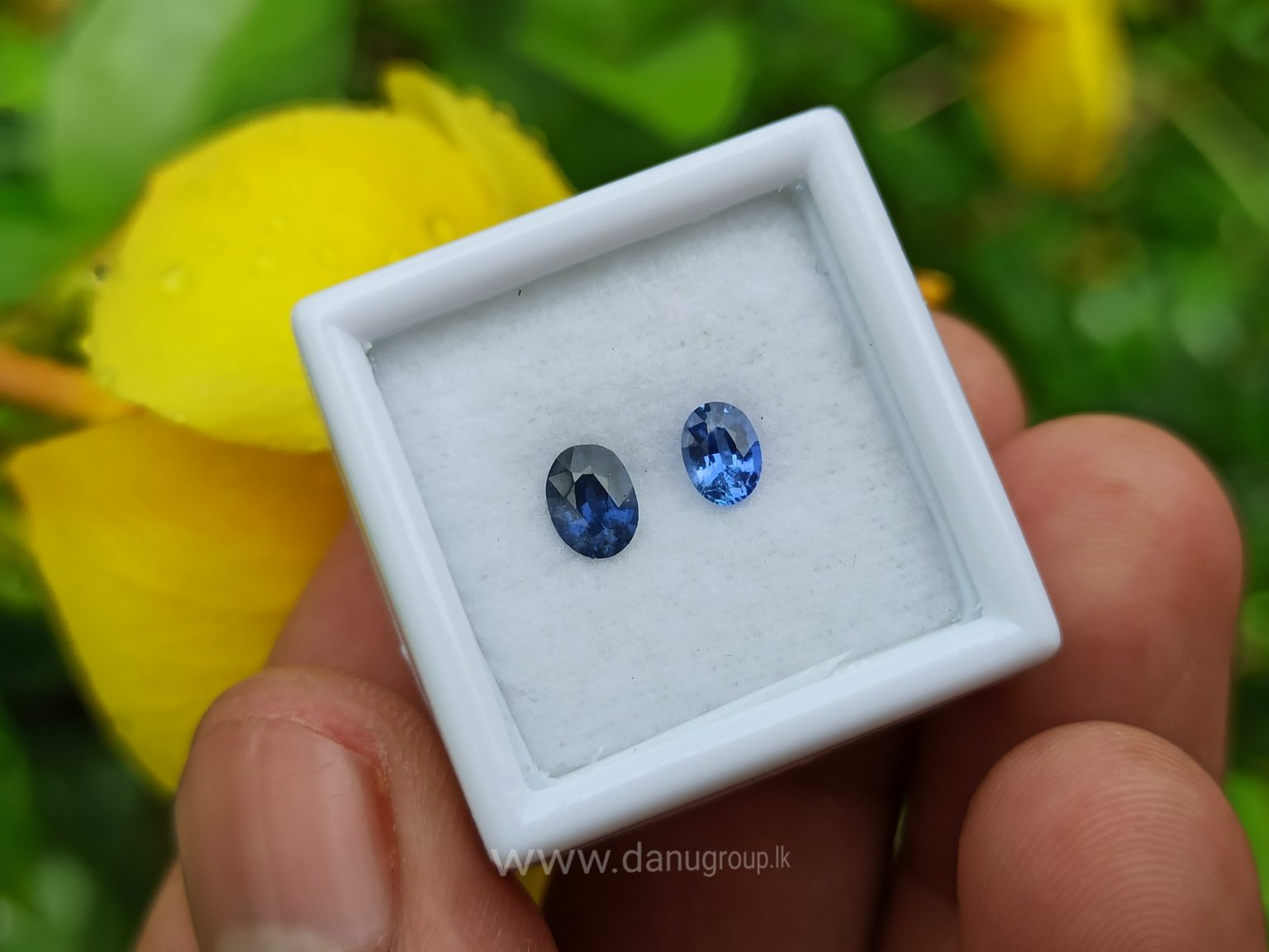 Ceylon Blue Sapphire Couple - Danu Group Gemstones