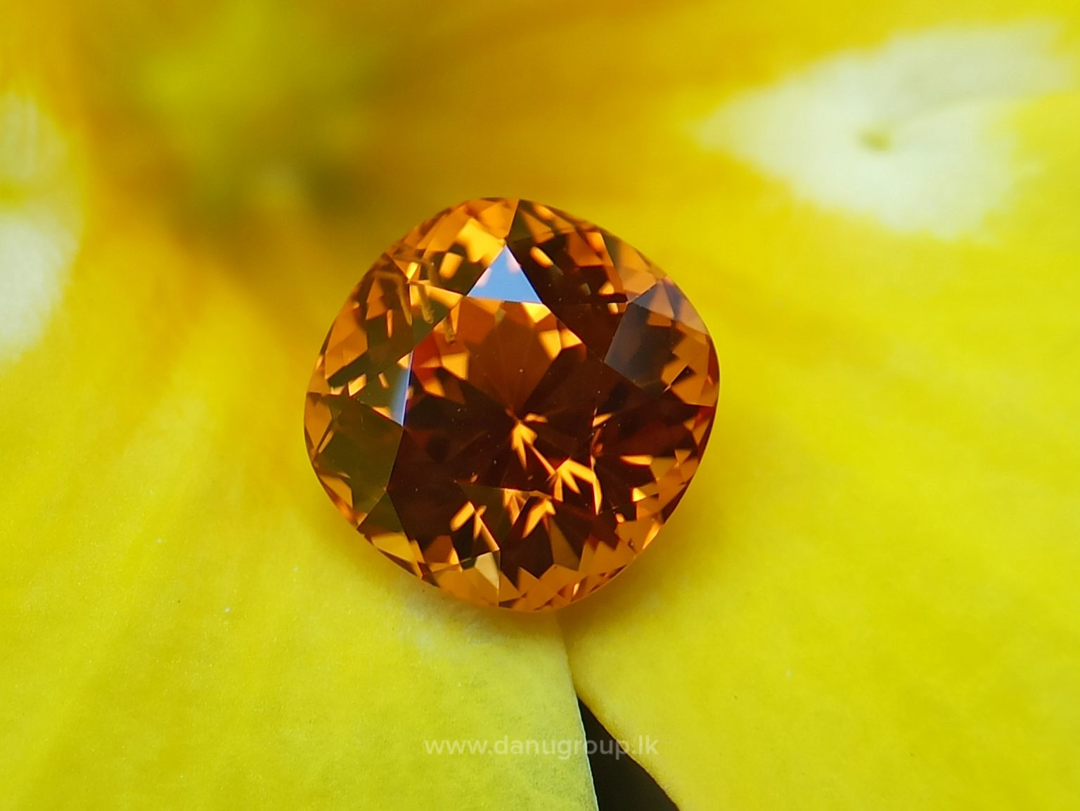 danugroup.lk - Ceylon Natural Spessartite Garnet pyrop Spessartite from Danu Group Gemstones Collections