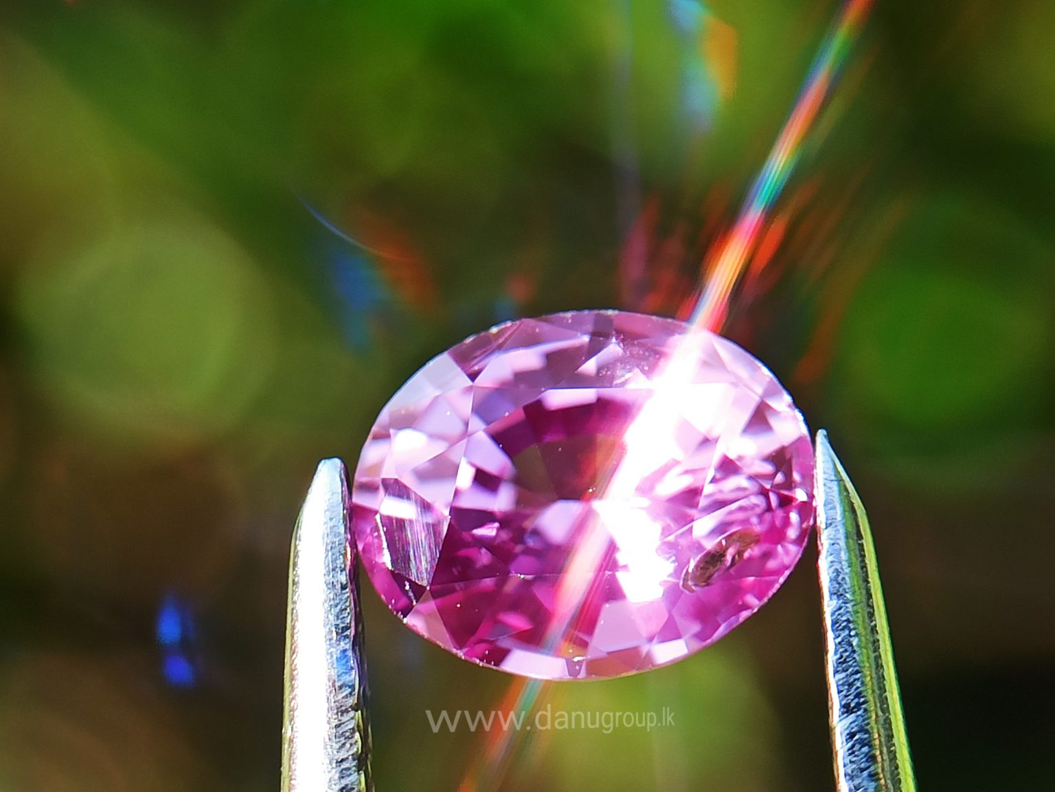 danugroup.lk - ceylon Natural pink sapphire Danu Group Gemstones Collections