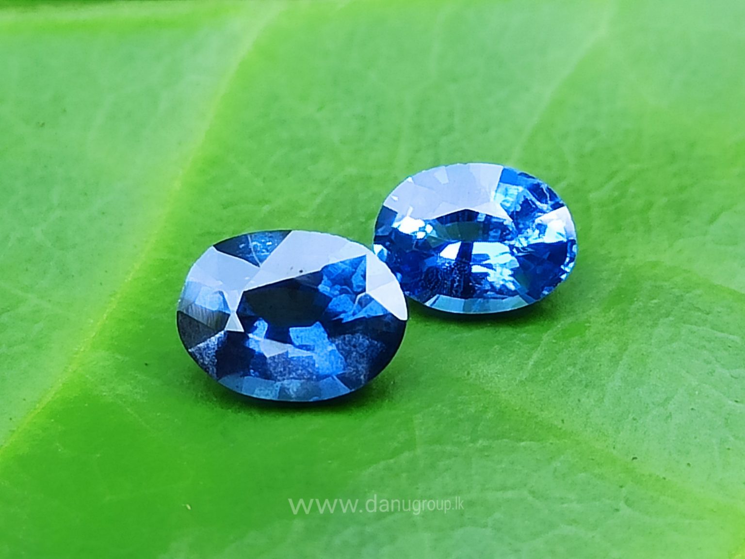 Ceylon Blue Sapphire Couple - Danu Group Gemstones