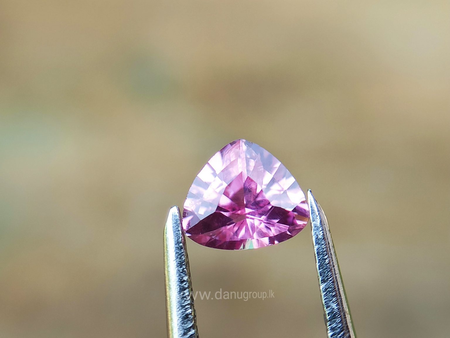 danugroup.lk - Ceylon Natural Blue and pink sapphire couple Danu Group Gemstones