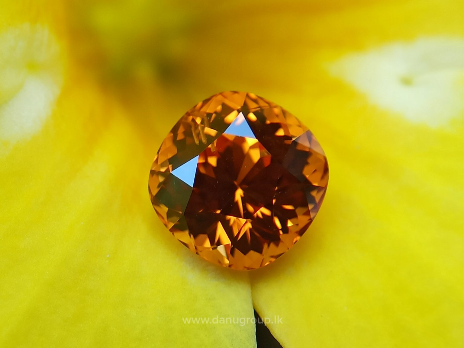 danugroup.lk - Ceylon Natural Spessartite Garnet pyrop Spessartite from Danu Group Gemstones Collections