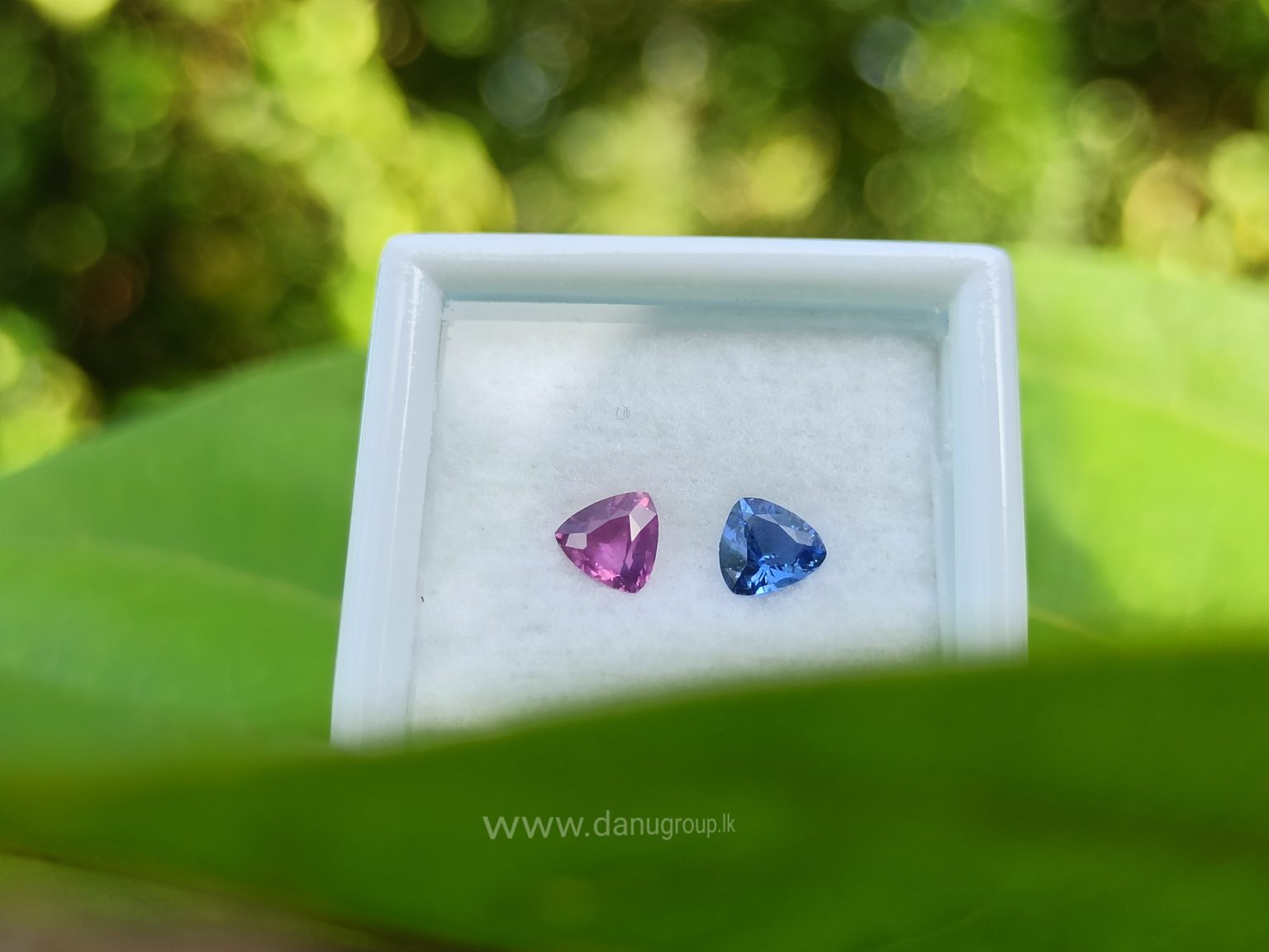 Ceylon Natural Blue & Pink Sapphire Couple - Danu Group Gemstones danugroup.lk Danu Group Gemstones