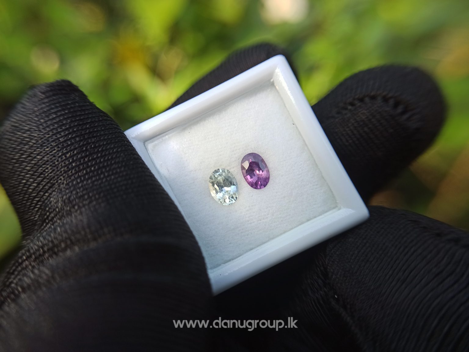 Ceylon Natural Fancy Sapphire Couple - Danu Group Gemstones Collection
