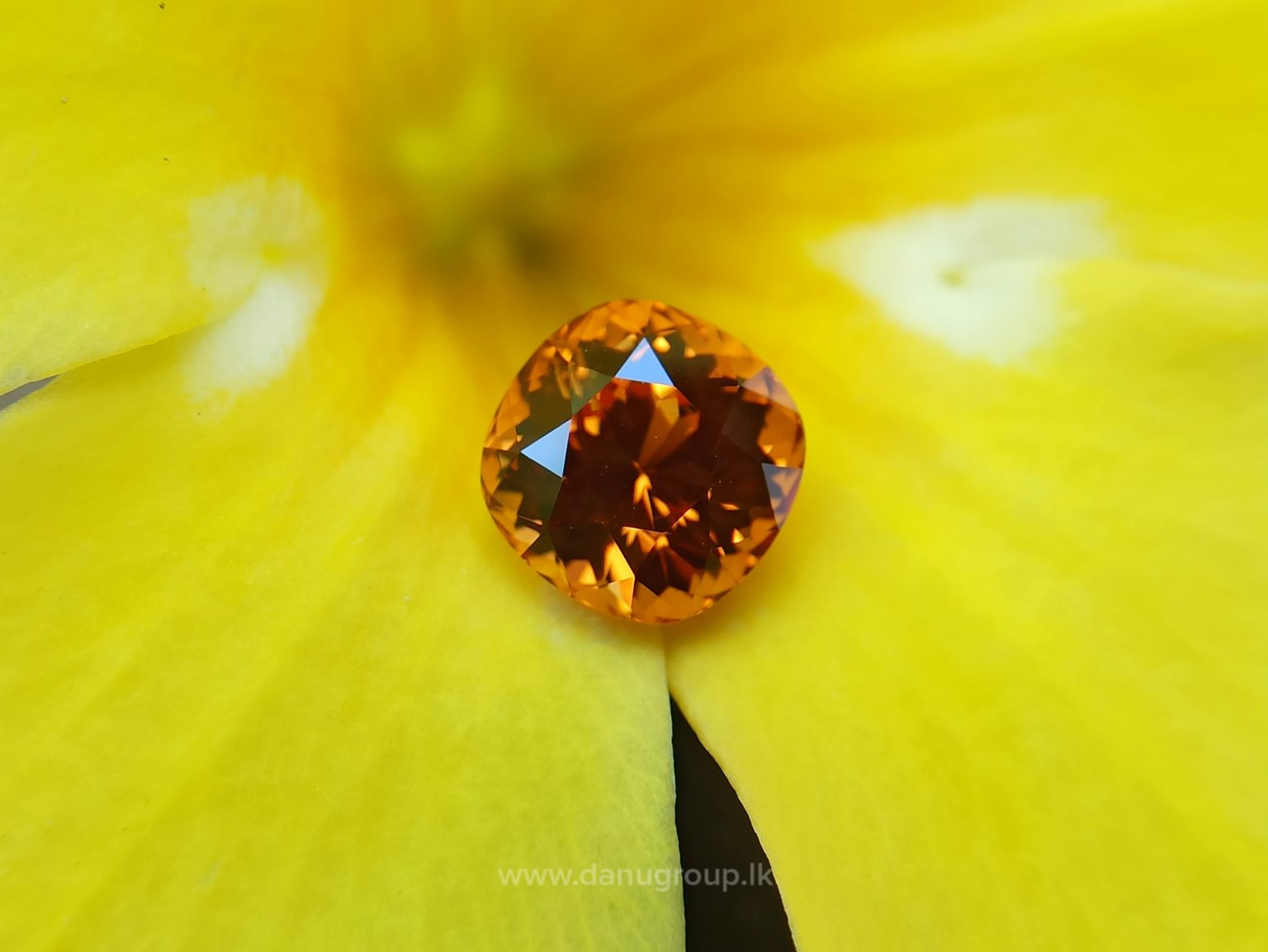 danugroup.lk - Ceylon Natural Spessartite Garnet pyrop Spessartite from Danu Group Gemstones Collections