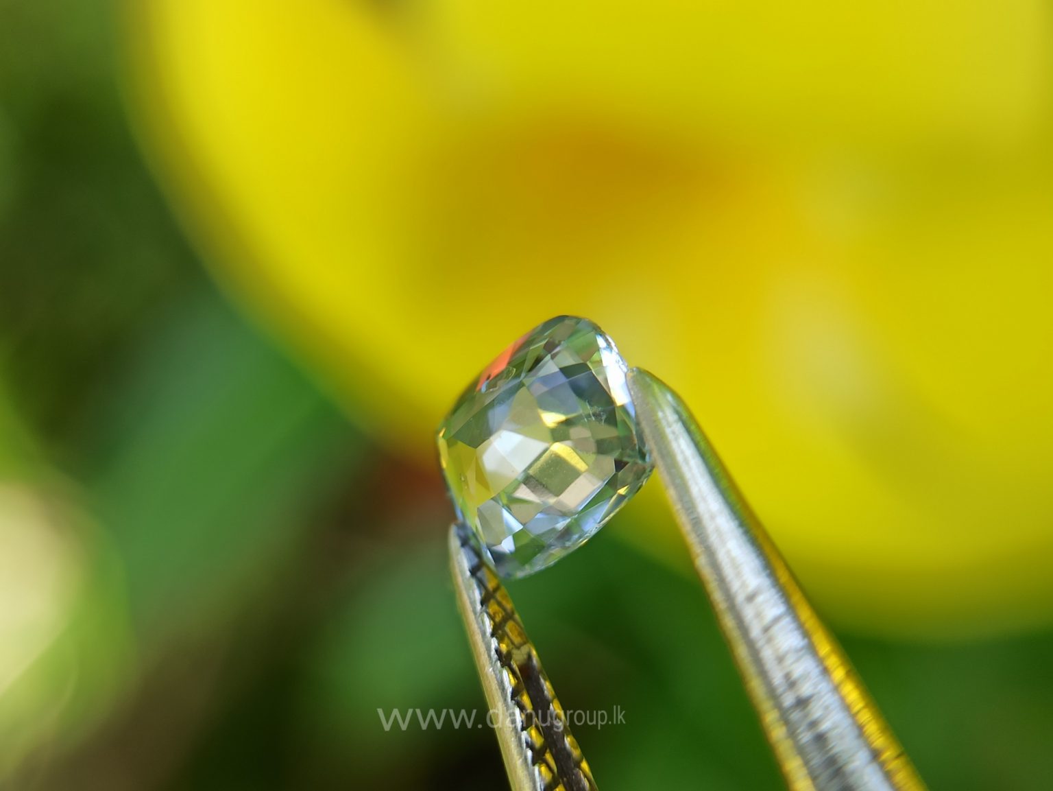 danugroup.lk - Ceylon Natural Blue and pink sapphire couple Danu Group Gemstones