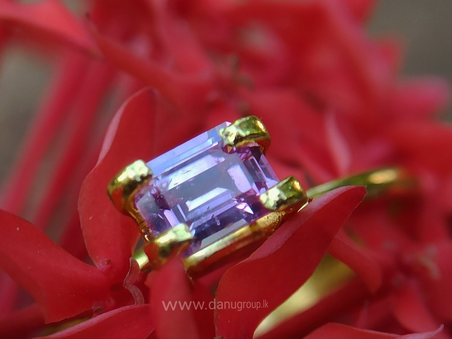 Ceylon Natural Pink Sapphire Danu Group Gemstones Collection