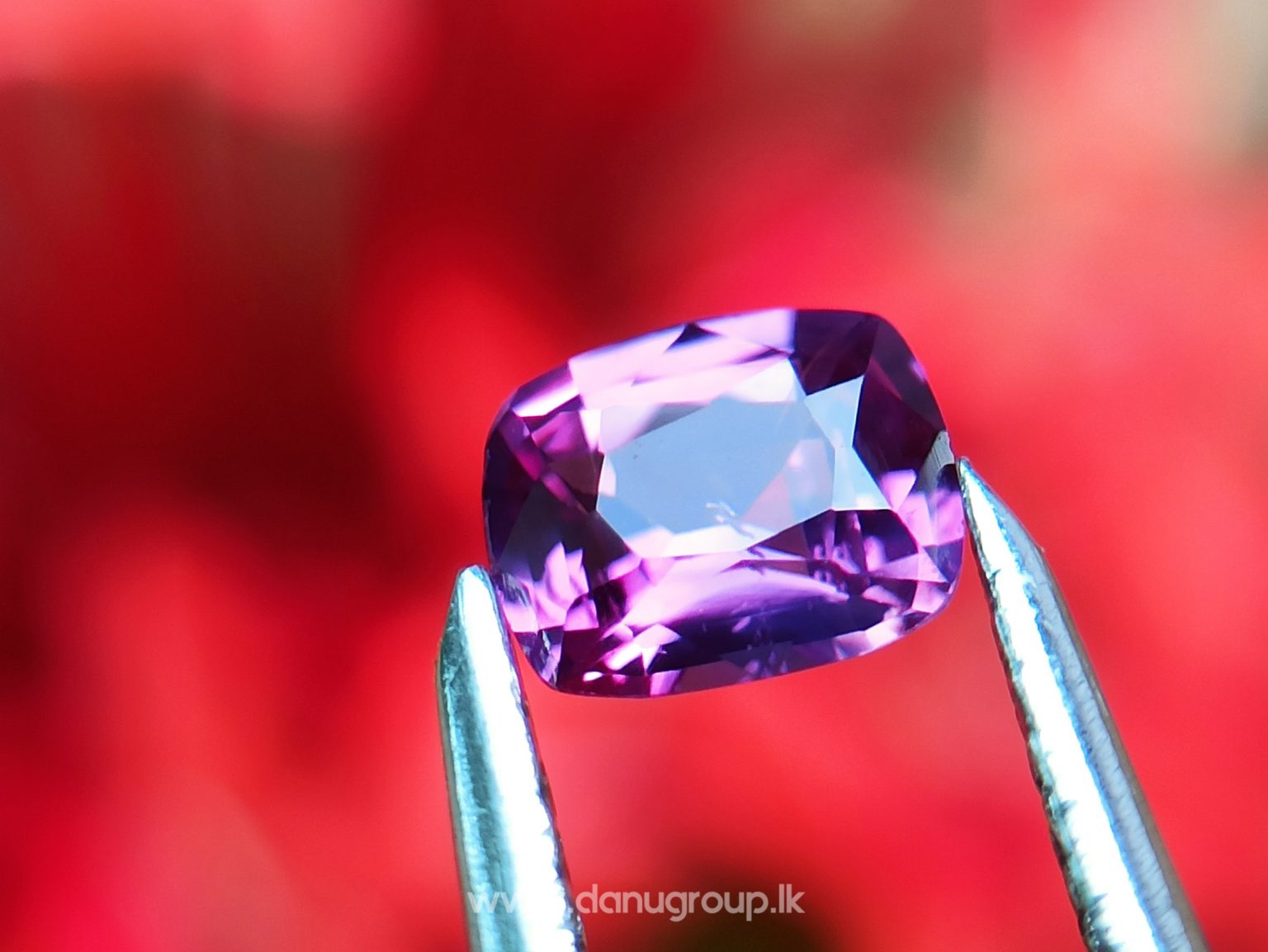 Ceylon Natural Violet and pink sapphire , fancy sapphire couple danu group Gemstones