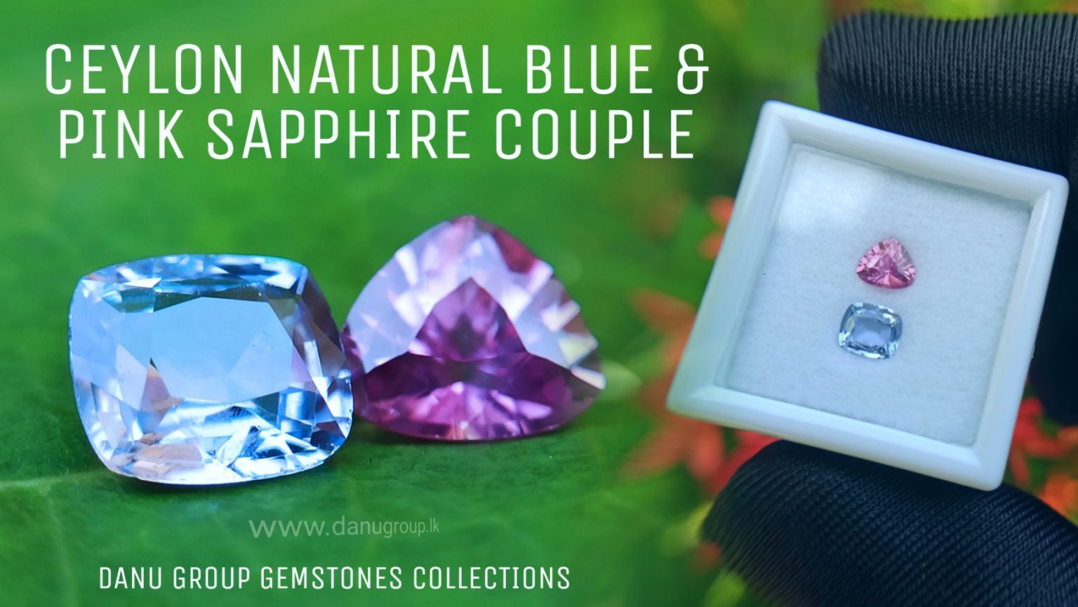 danugroup.lk - Ceylon Natural Blue and pink sapphire couple Danu Group Gemstones