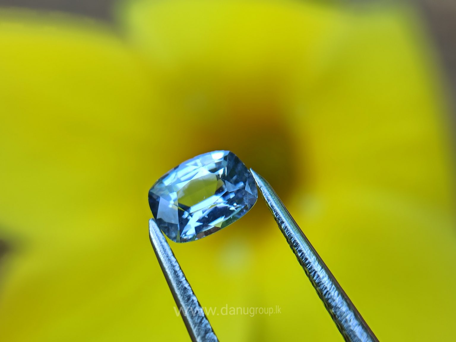 Ceylon Natural Light Blue Sapphire Pair for earrings - Danu Group Gemstones Collections