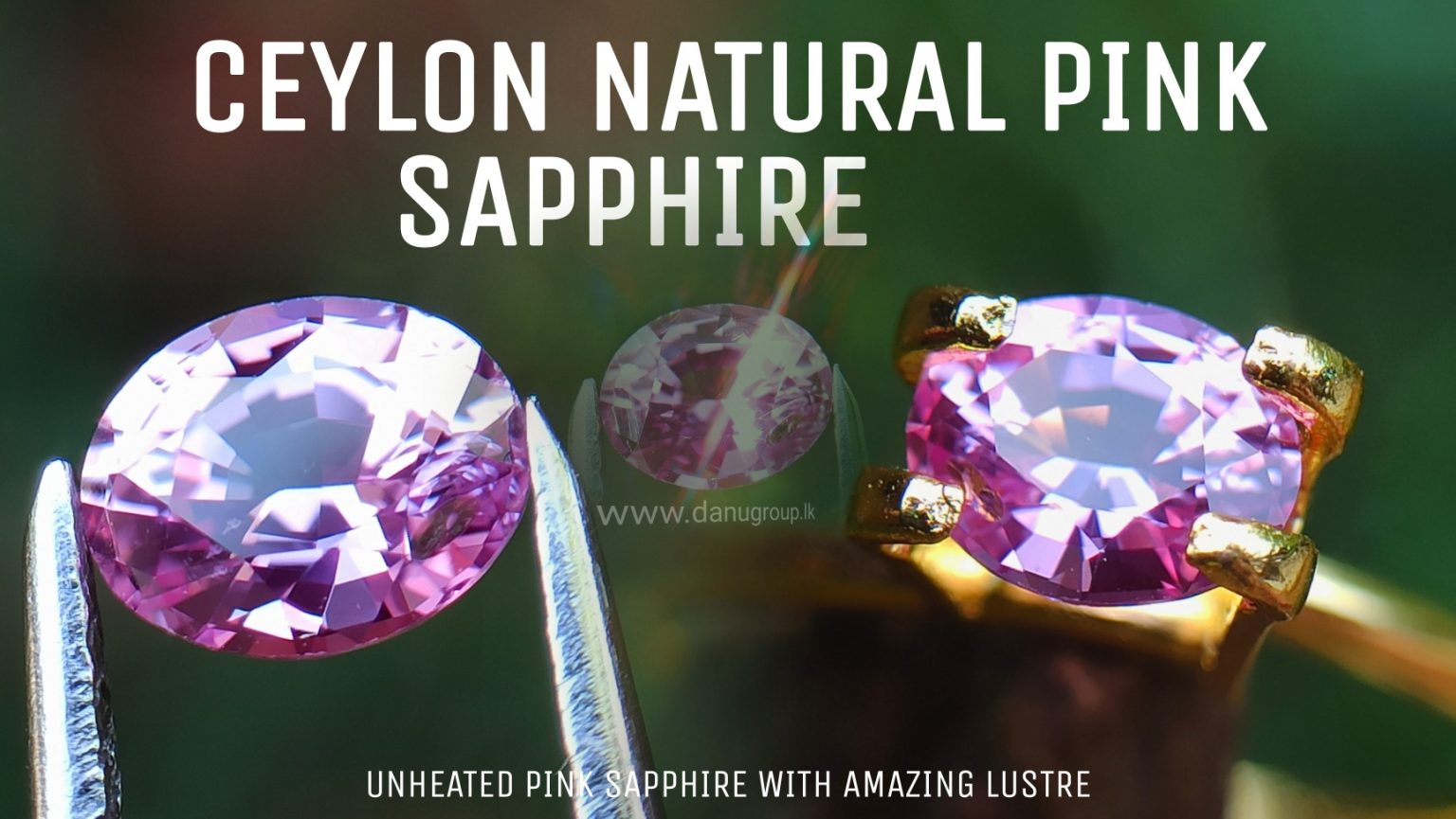 danugroup.lk - ceylon Natural pink sapphire Danu Group Gemstones Collections
