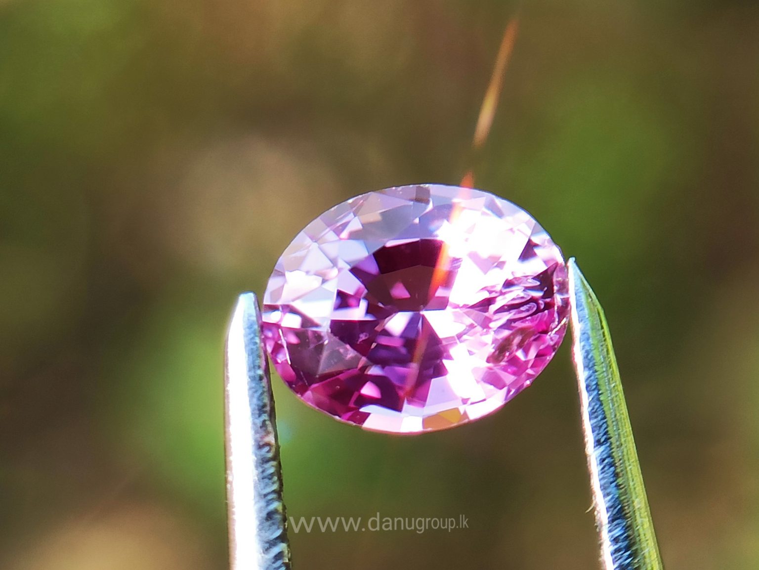 danugroup.lk - ceylon Natural pink sapphire Danu Group Gemstones Collections