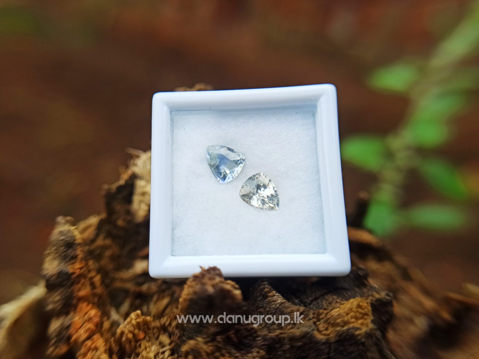 Ceylon Natural Bi Colour Sapphire and light yellow sapphire - Natural Fancy Sapphire couple from Danu Group