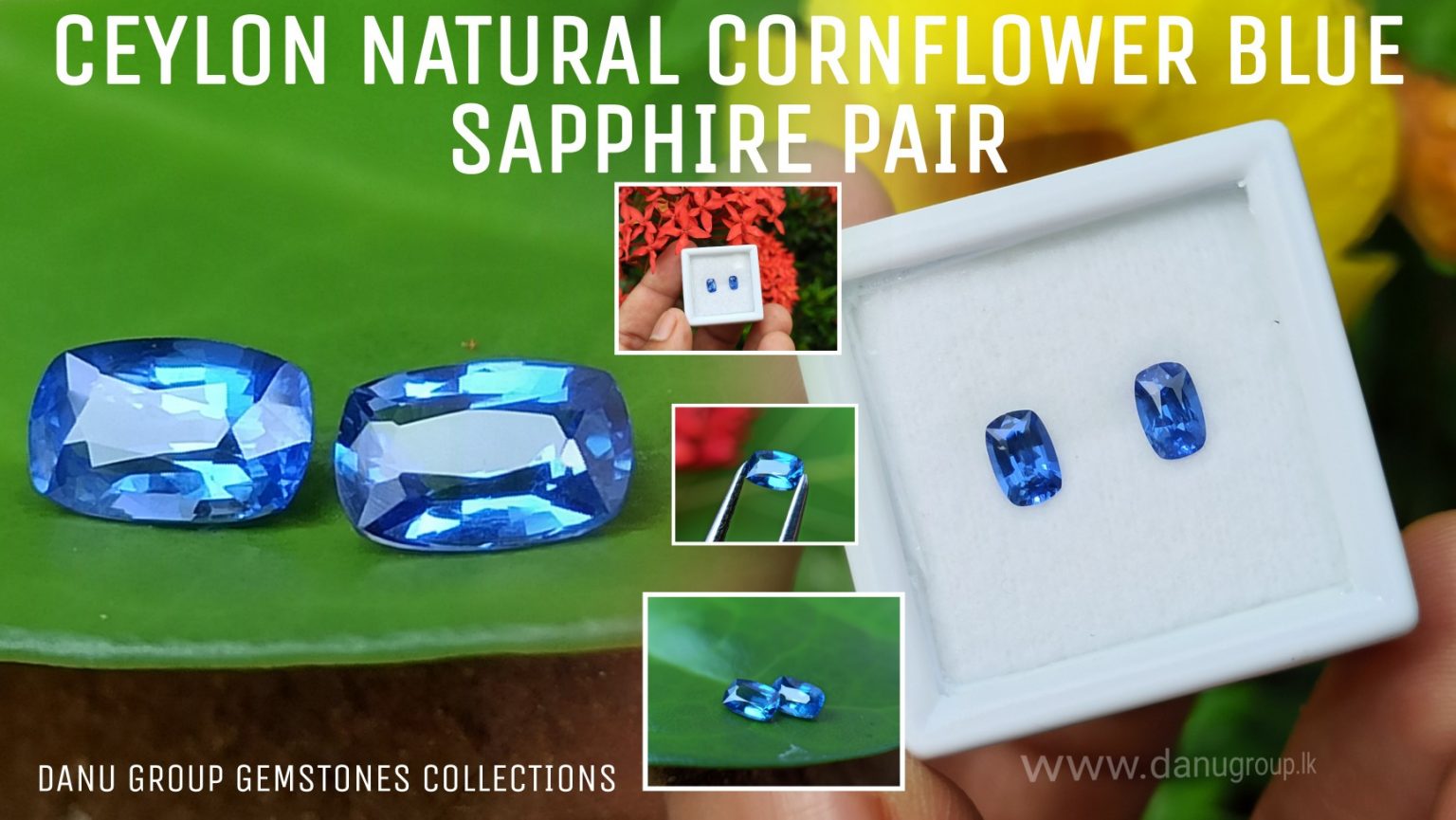 Ceylon Natural Cornflower Blue Sapphire Pair Danu Group Gemstones pair