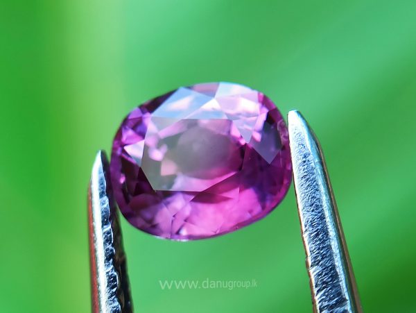 Ceylon Natural Pink Sapphire Danu Group Gemstones Collection