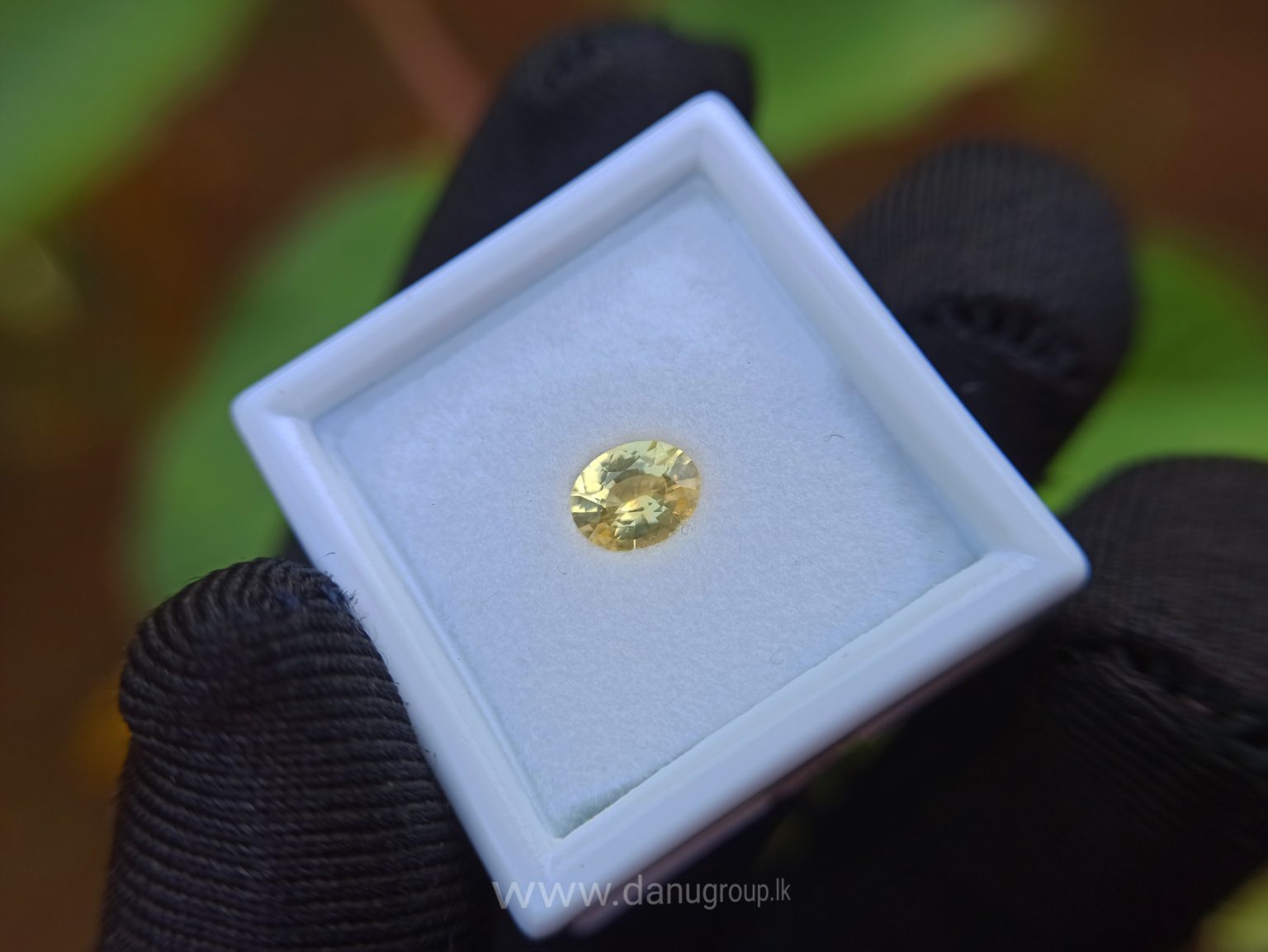 Ceylon Natural Yellow Sapphire Oval Shape - Danu Group Gemstones Collection
