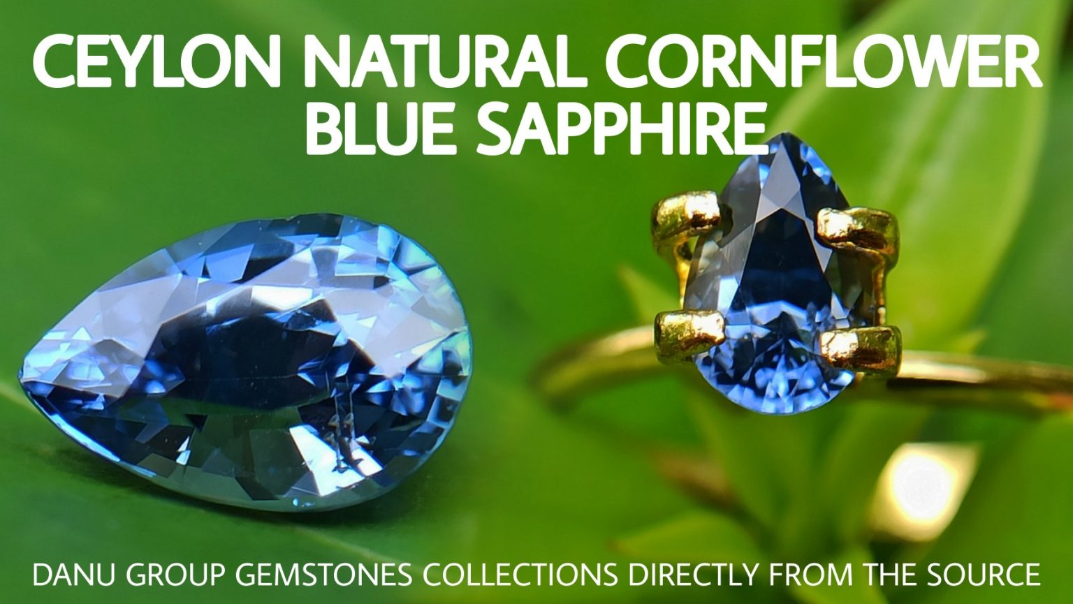 danugroup.lk - Ceylon Natural Cornflower Blue Sapphire Danu Group Gemstones Collections