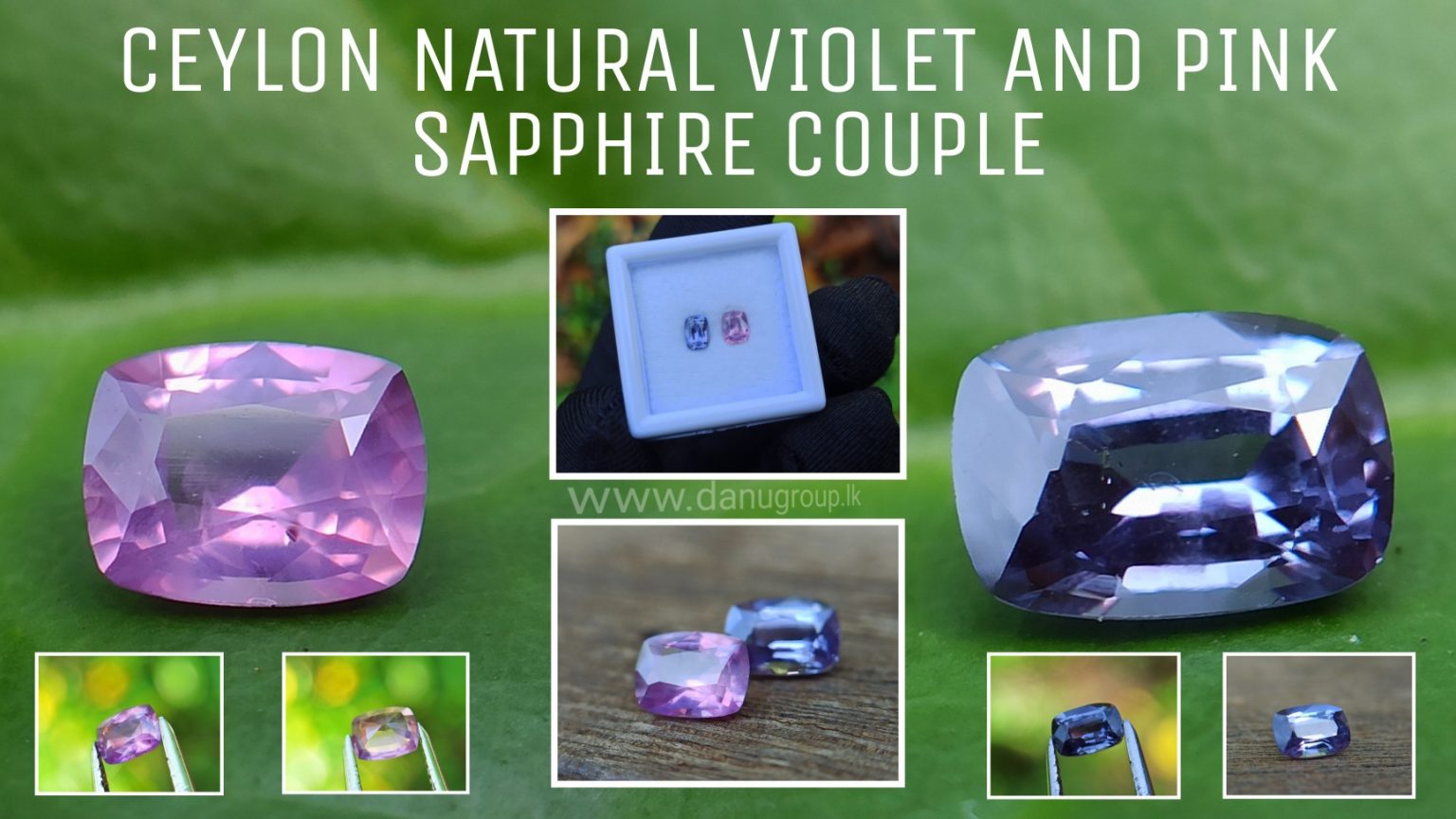 danugroup.lk - ceylon natural Violet Sapphire and pink sapphire Couple danu group Gemstones