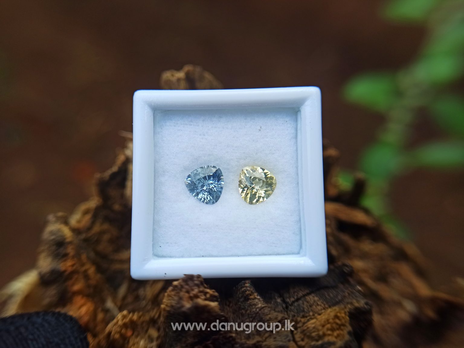 danugroup.lk - ceylon natural yellow sapphire and white Sapphire - Natural Fancy Sapphire Couple from Danu Group