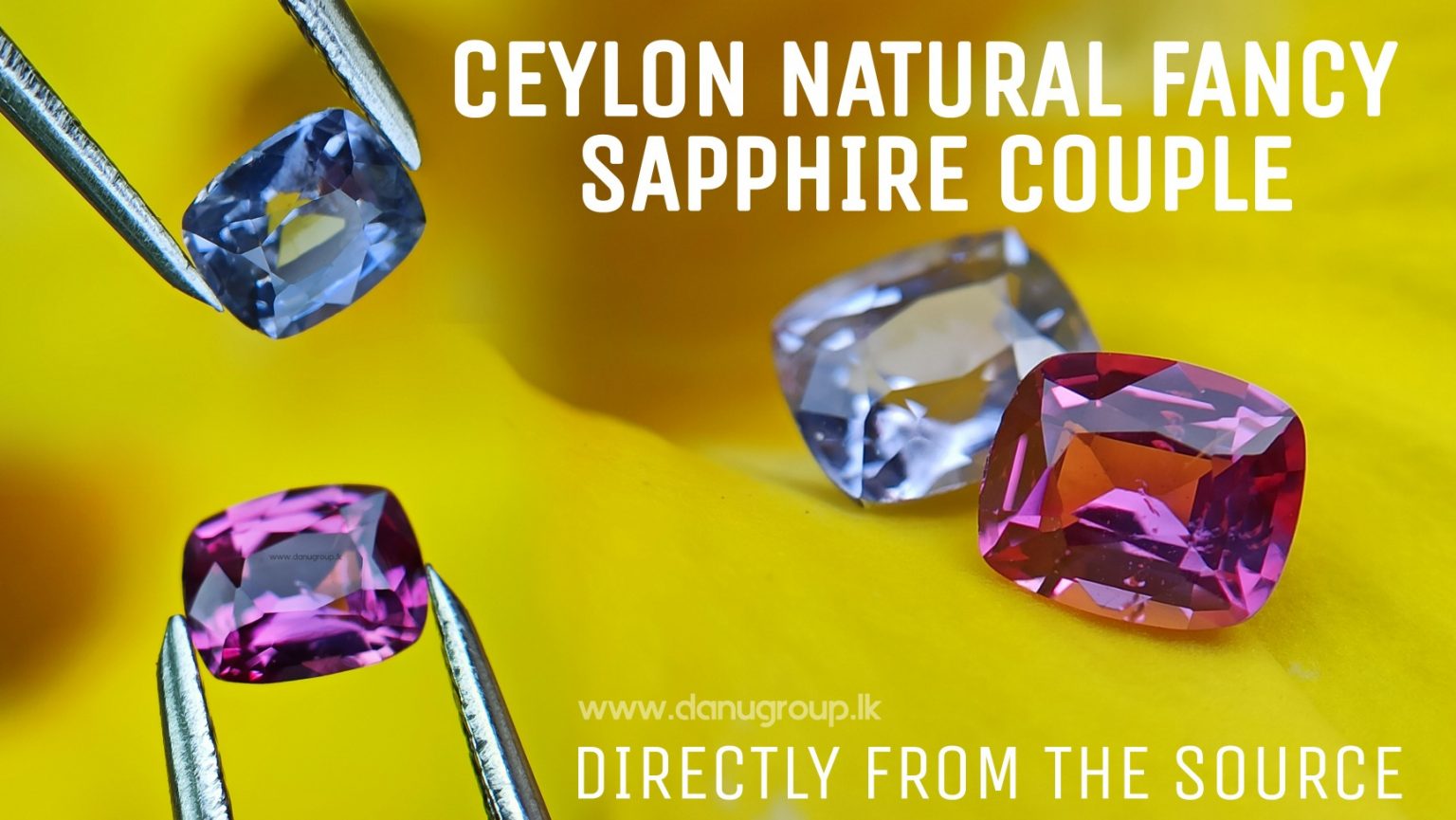 Ceylon Natural Violet and pink sapphire , fancy sapphire couple danu group Gemstones