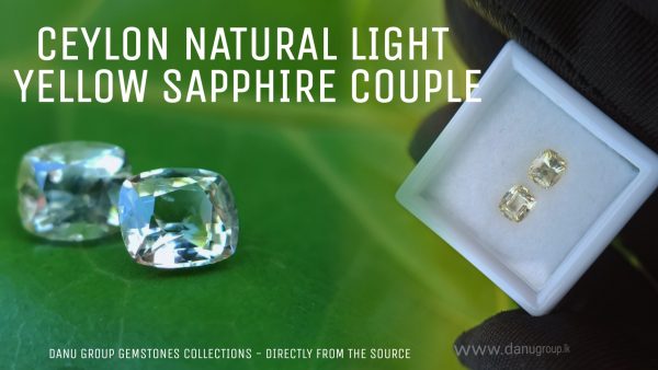 Ceylon Natural Yellow Sapphire Cushion shape Couple Danu Group Gemstones Collection