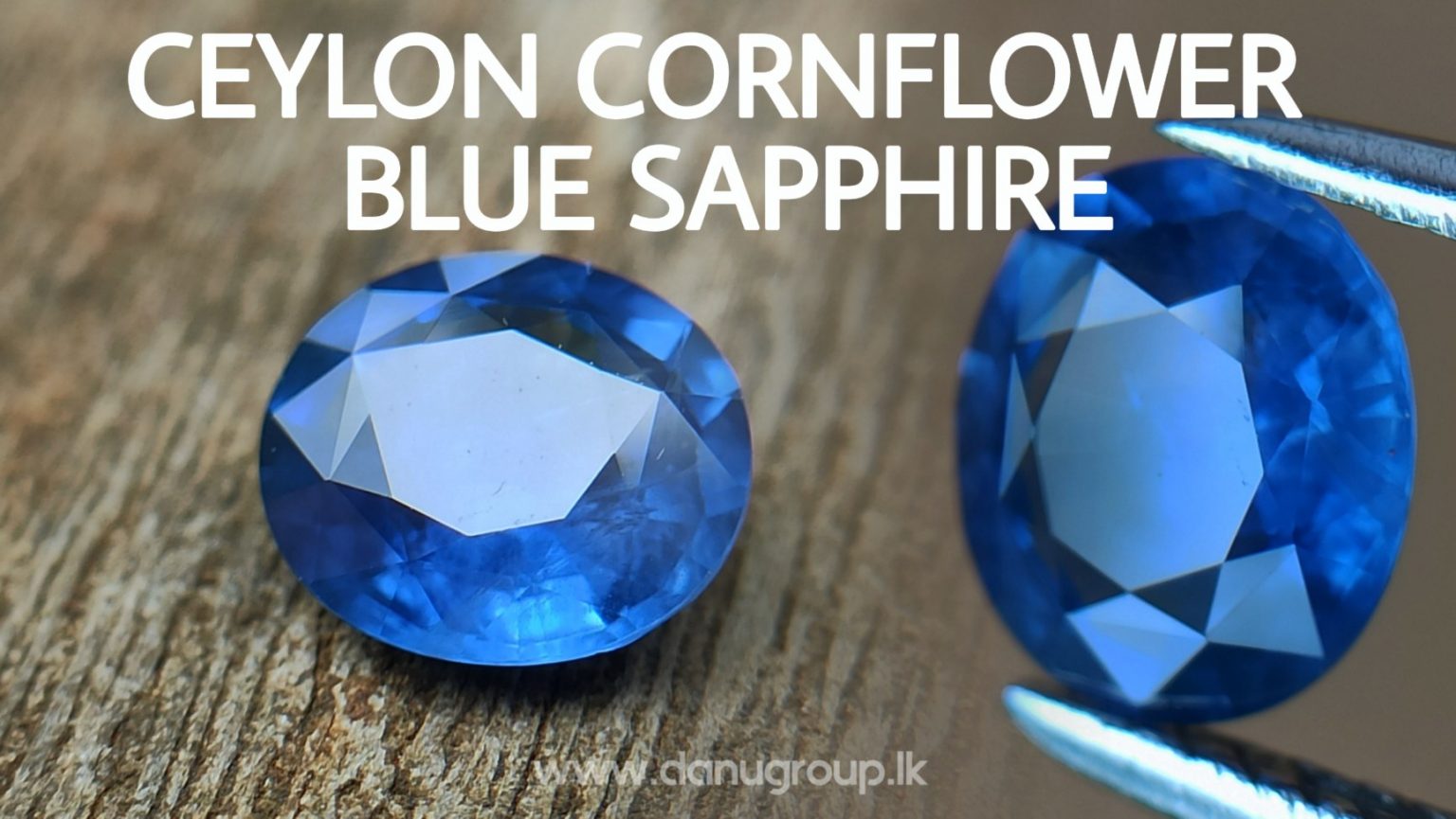 danugroup.lk - Ceylon Natural Cornflower Blue Sapphire Danu Group Gemstones Collections
