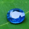 danugroup.lk - Ceylon Natural Cornflower Blue Sapphire Danu Group Gemstones Collections