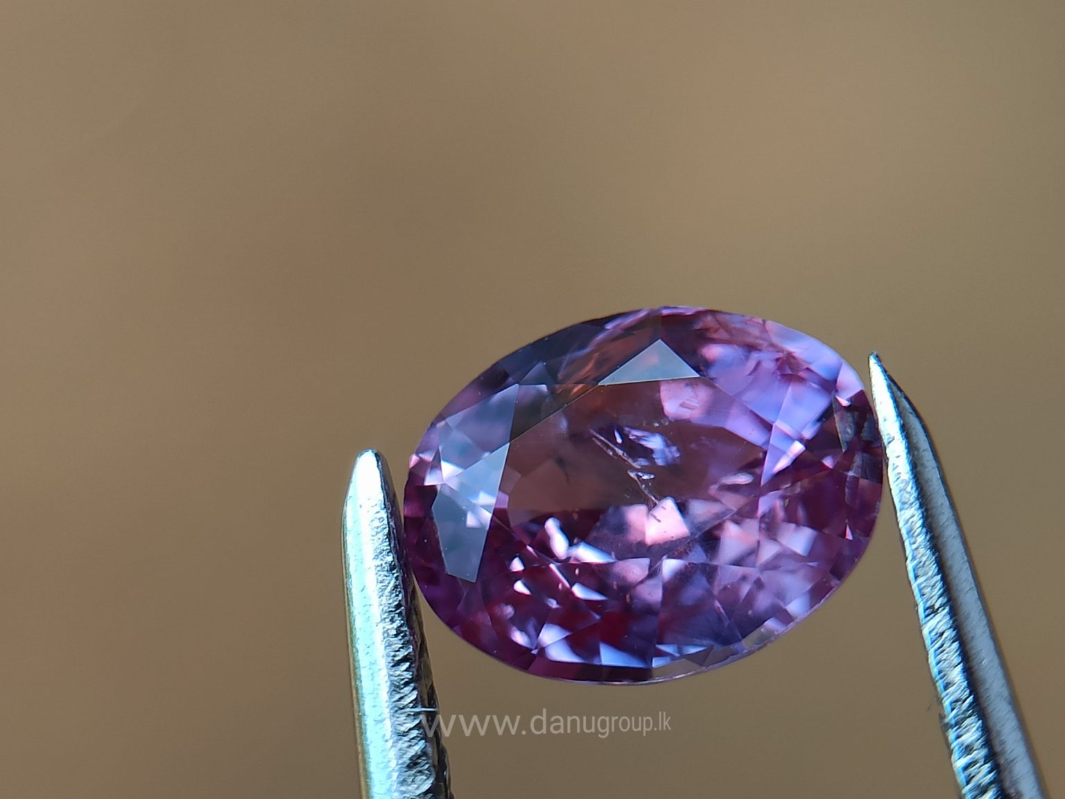 danugroup.lk - ceylon Natural pink sapphire Danu Group Gemstones Collections