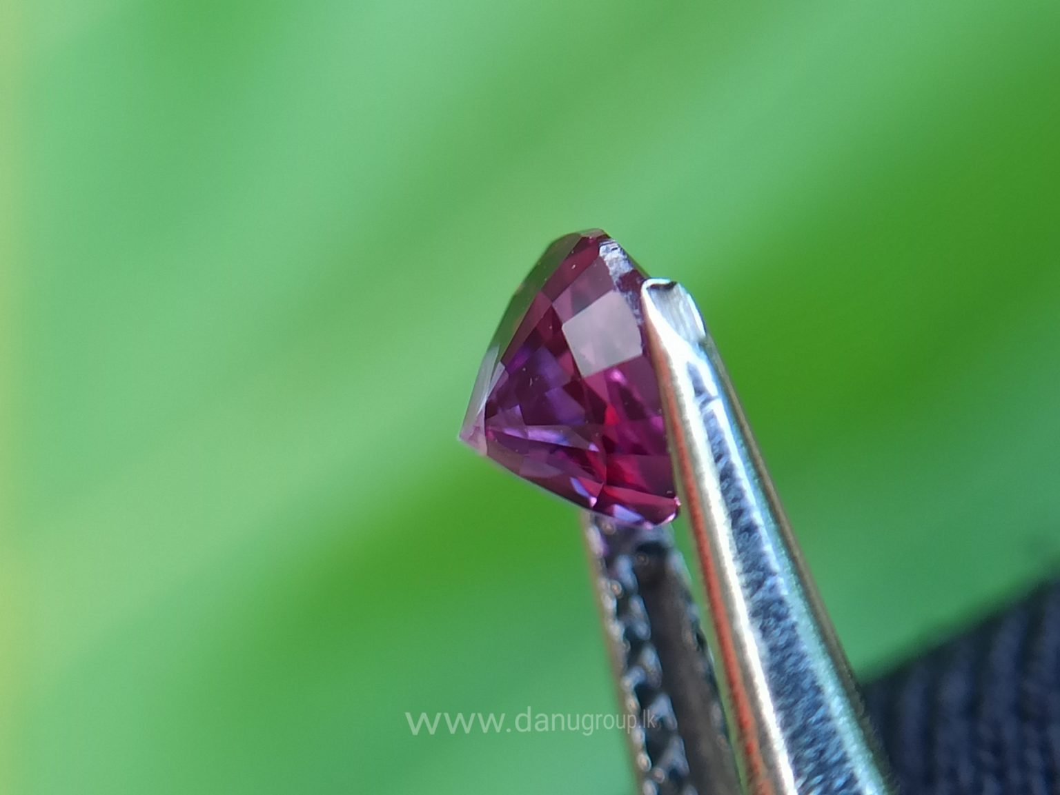 Ceylon Natural Pink Sapphire Danu Group Gemstones Collection