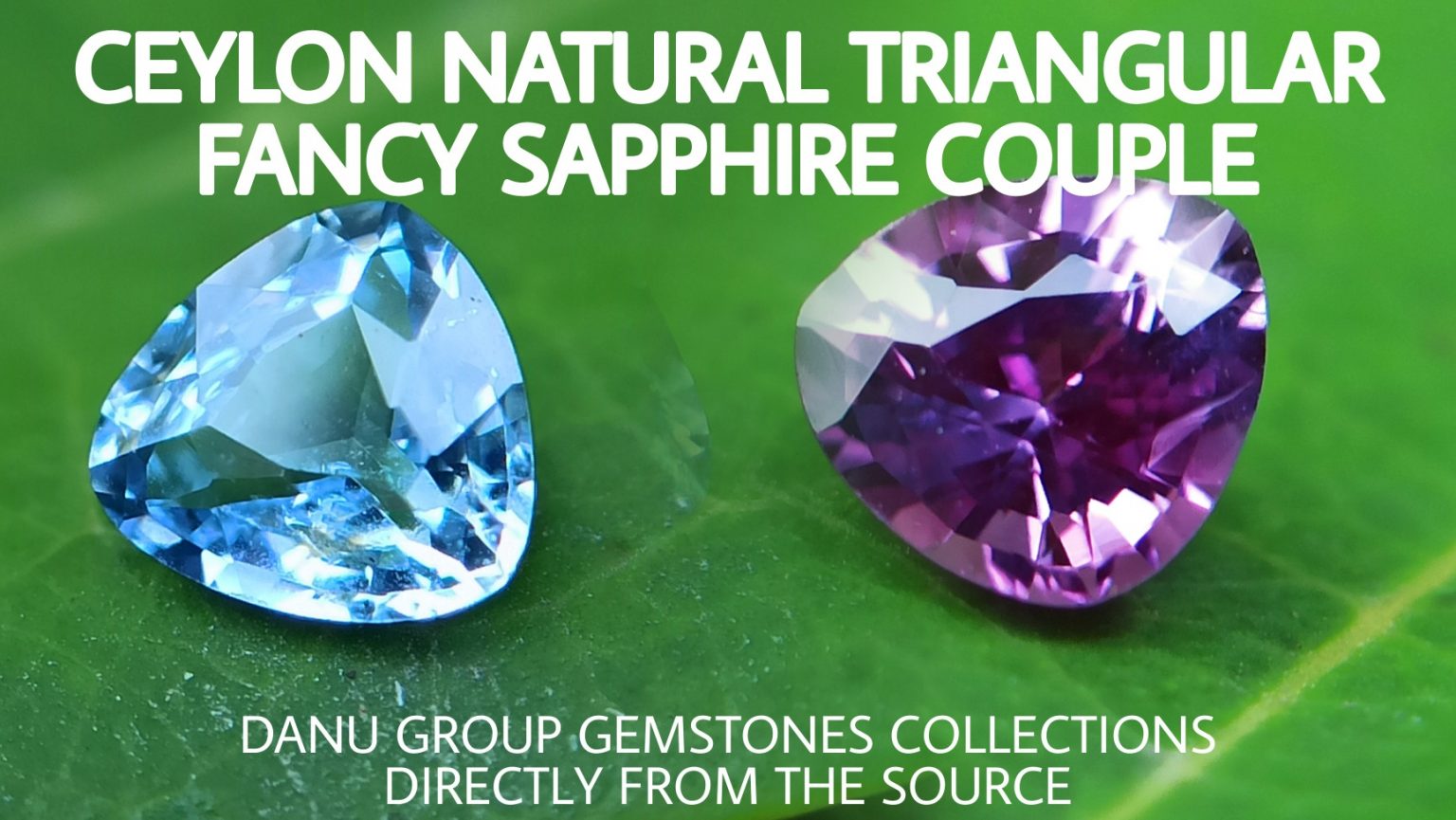 Ceylon Natural Purple sapphire and blue sapphire couple - Natural Fancy Sapphire Couple from Danu Group