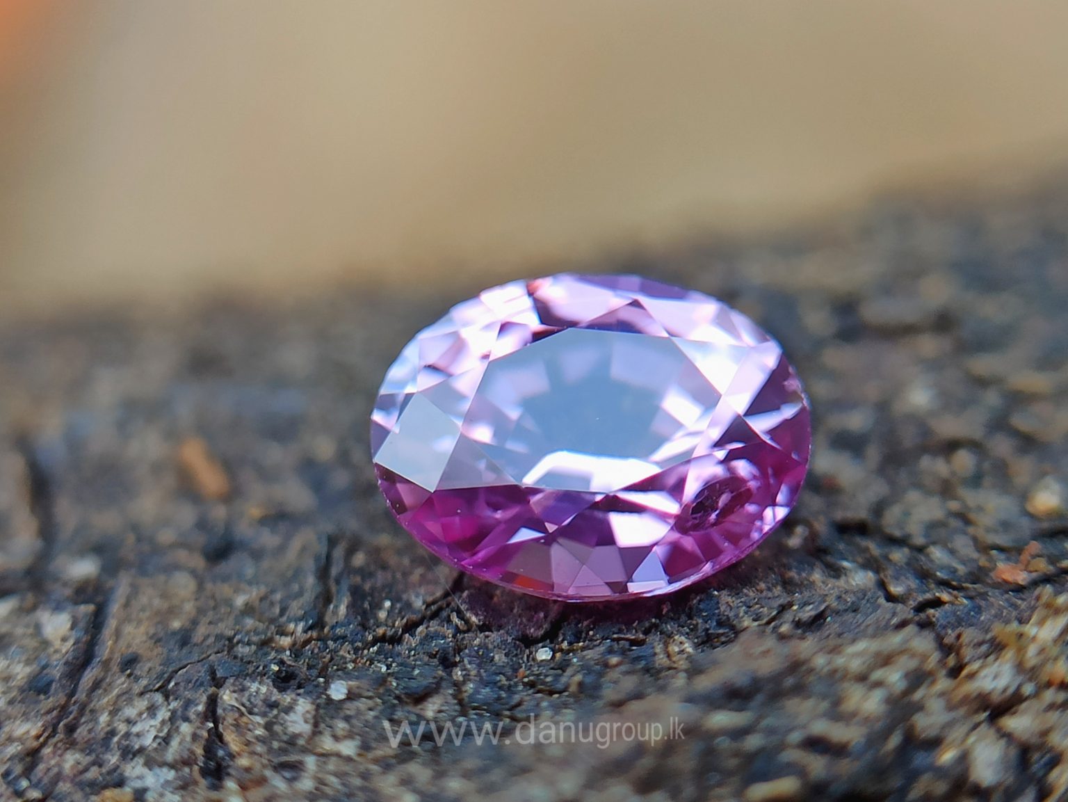 danugroup.lk - ceylon Natural pink sapphire Danu Group Gemstones Collections