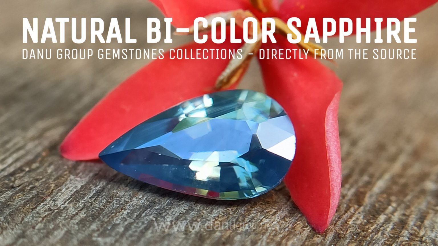 natural bi colour Sapphire pear danu group Gemstones