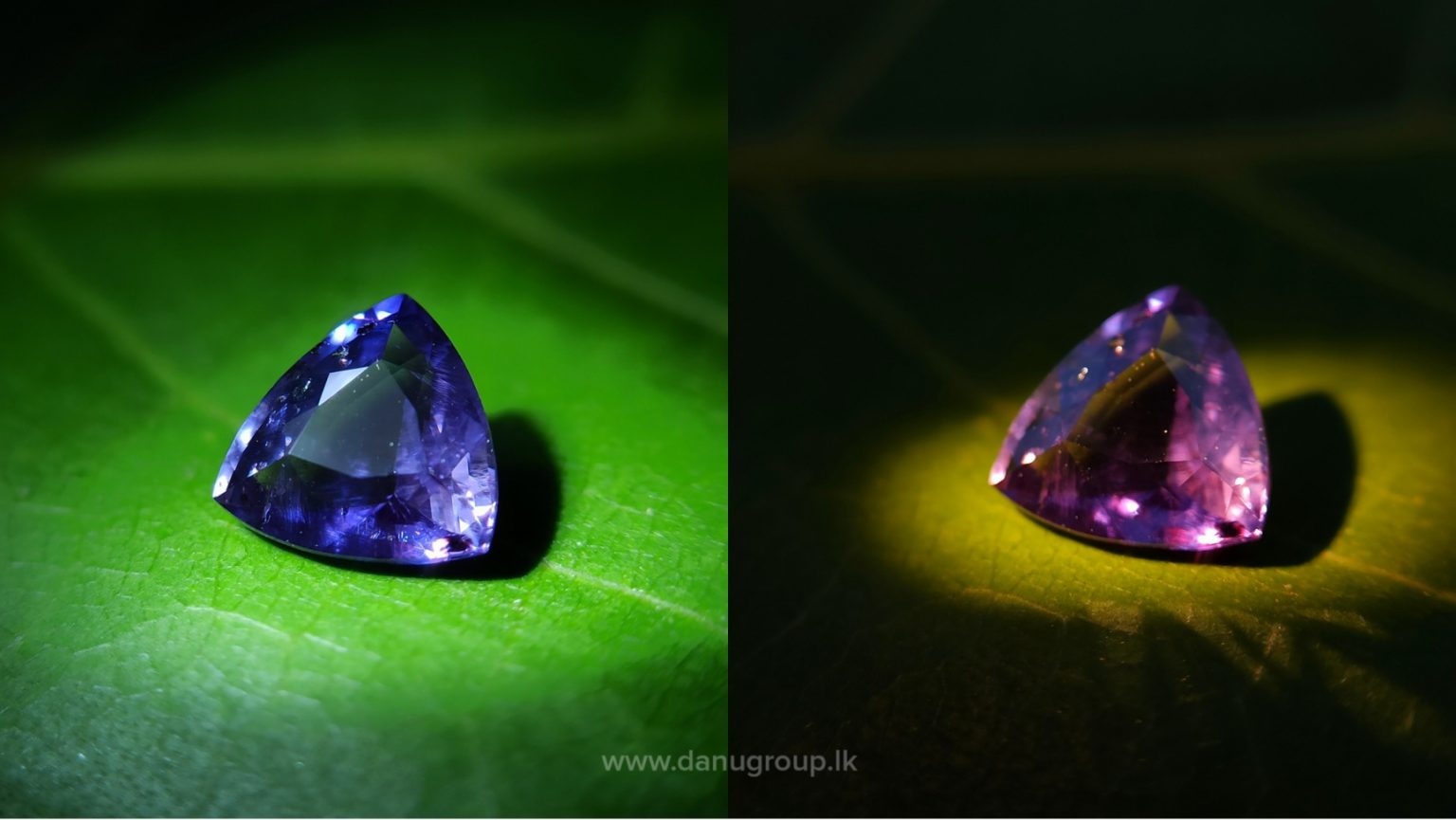 Ceylon Natural Color Change Sapphire Danu Group Gemstones
