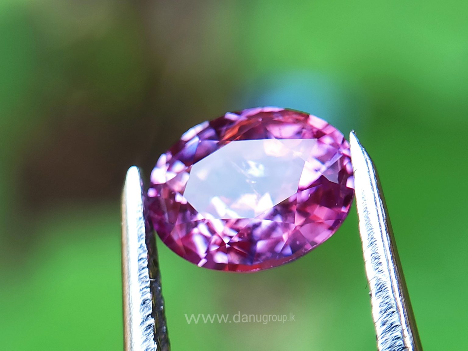 danugroup.lk - ceylon Natural pink sapphire Danu Group Gemstones Collections