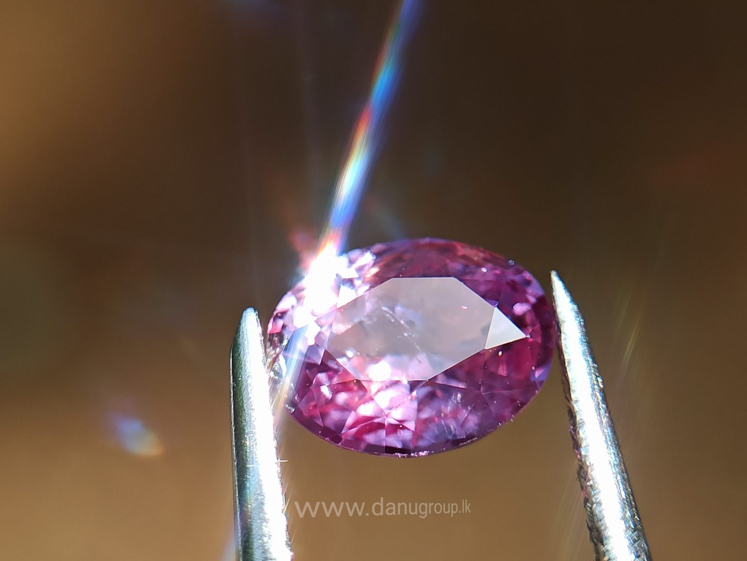 danugroup.lk - ceylon Natural pink sapphire Danu Group Gemstones Collections