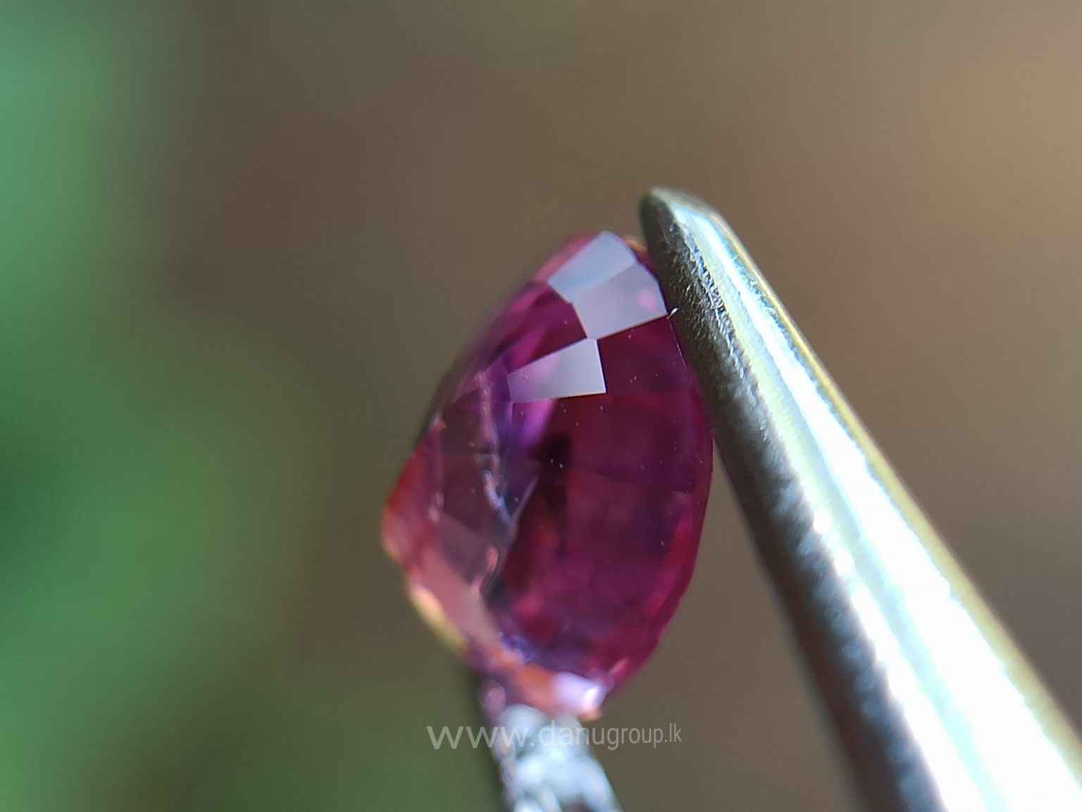 danugroup.lk - ceylon Natural pink sapphire Danu Group Gemstones Collections
