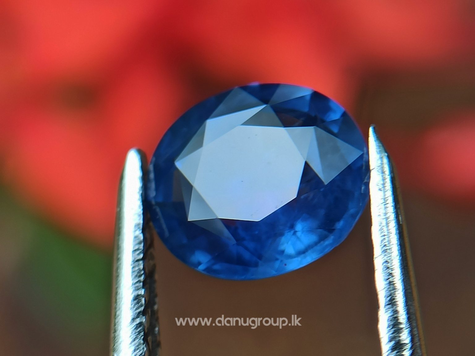 danugroup.lk - Ceylon Natural Cornflower Blue Sapphire Danu Group Gemstones Collections