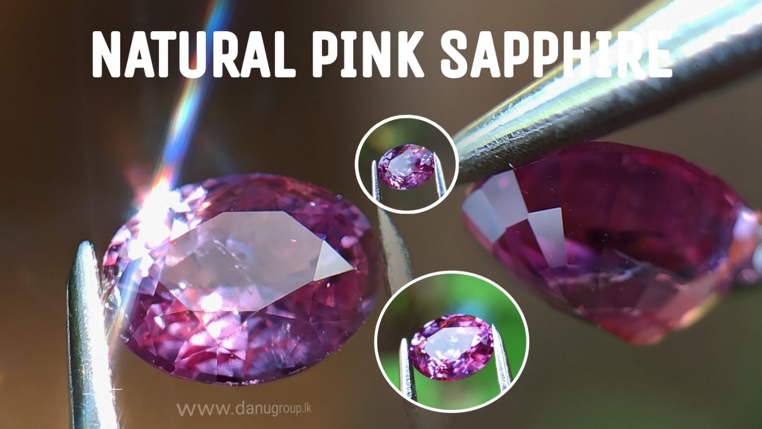 danugroup.lk - ceylon Natural pink sapphire Danu Group Gemstones Collections