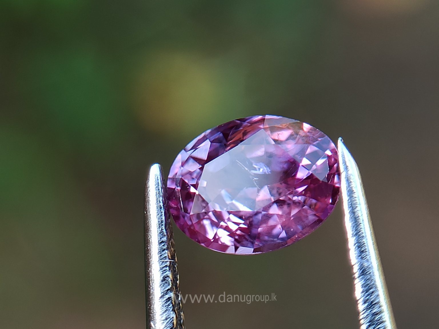 danugroup.lk - ceylon Natural pink sapphire Danu Group Gemstones Collections
