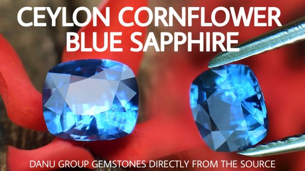 danugroup.lk - Ceylon Natural Cornflower Blue Sapphire Danu Group Gemstones Collections