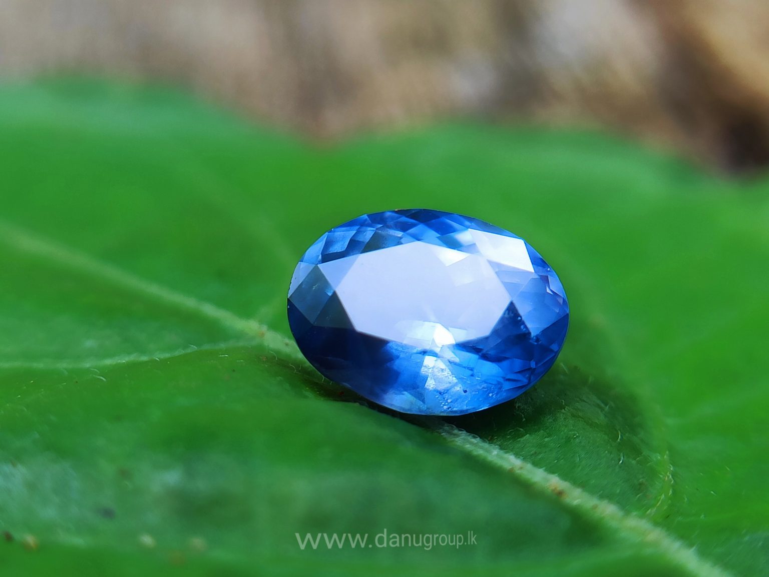Ceylon Natural Cornflower Blue Sapphire Danu Group Gemstones Collection