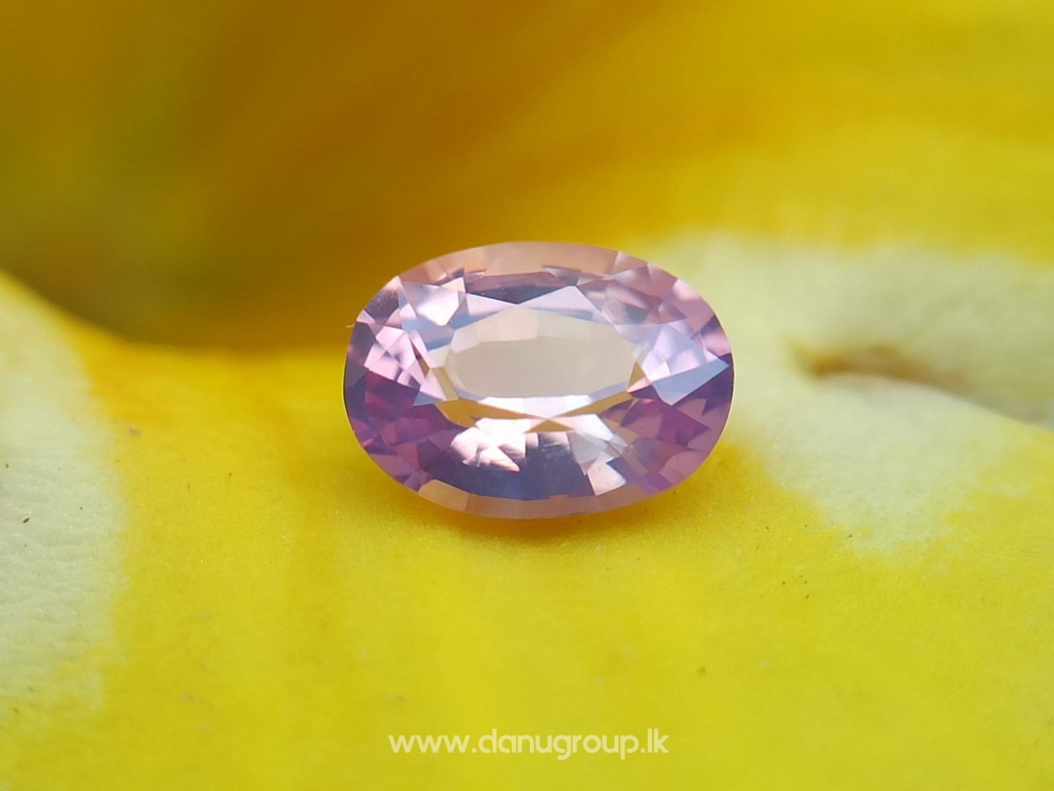 Ceylon Natural Fancy Sapphire Couple - Danu Group Gemstones Collection