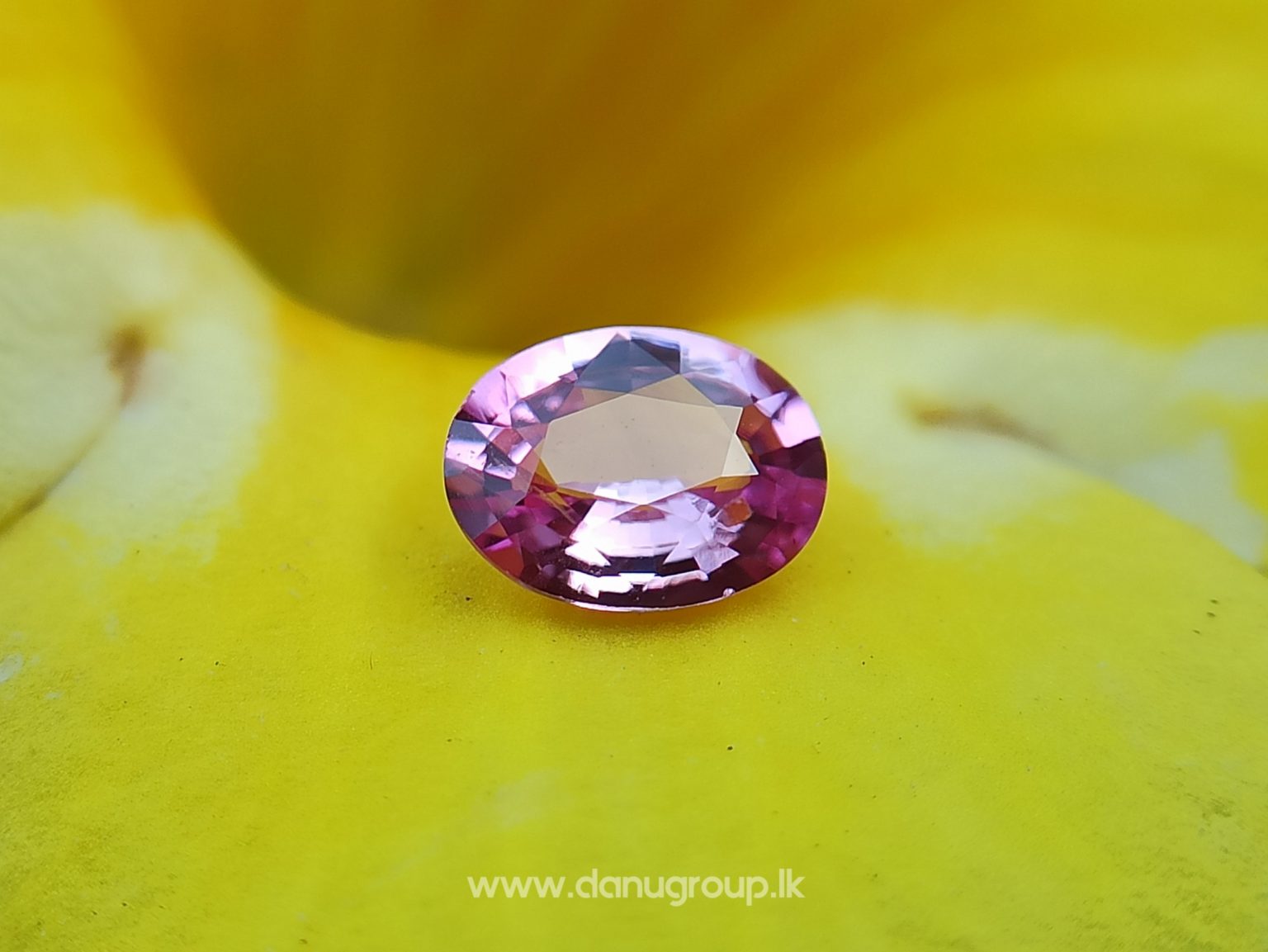 Ceylon Natural Fancy Sapphire Couple - Danu Group Gemstones Collection