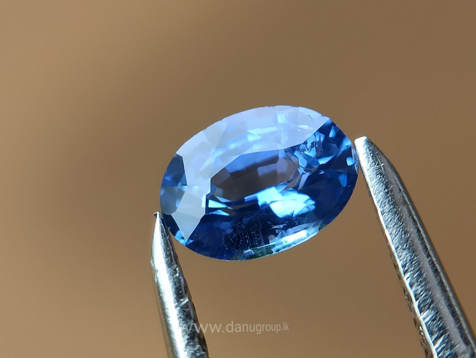 Ceylon Blue Sapphire Couple - Danu Group Gemstones