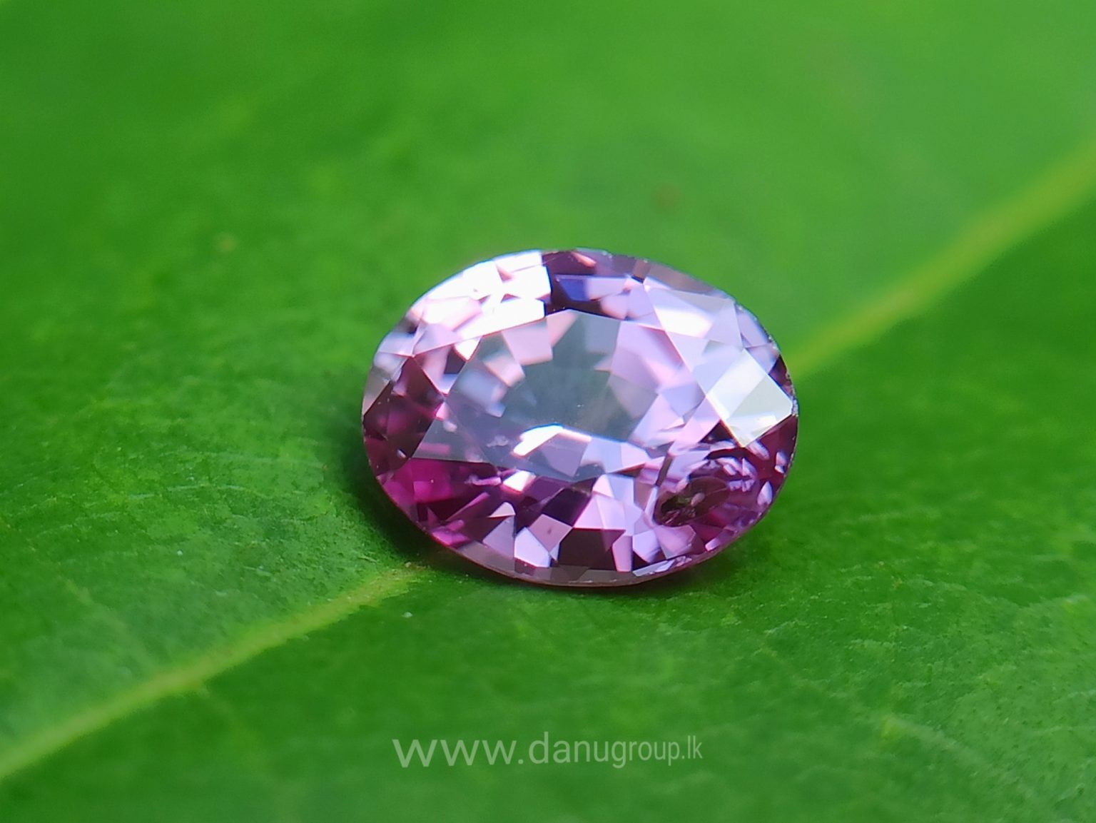 danugroup.lk - ceylon Natural pink sapphire Danu Group Gemstones Collections