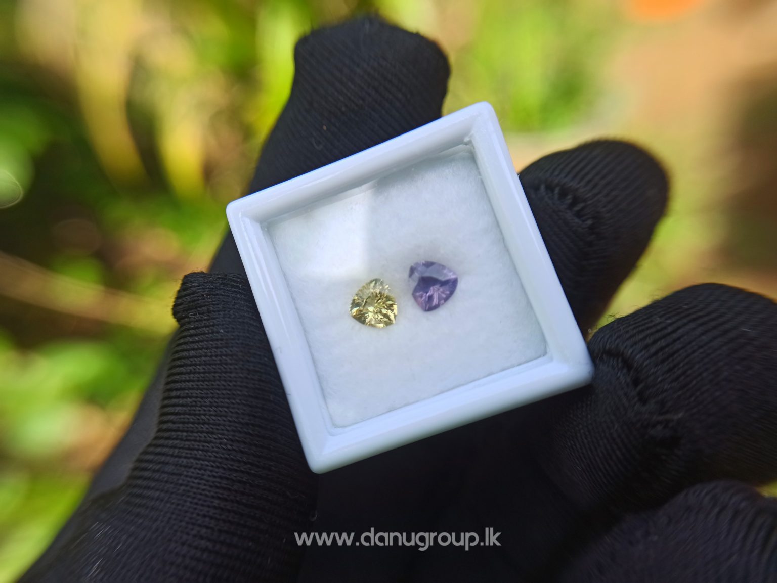 danugroup.lk - natural purple and yellow sapphire from Danu Group Fancy Sapphire couple