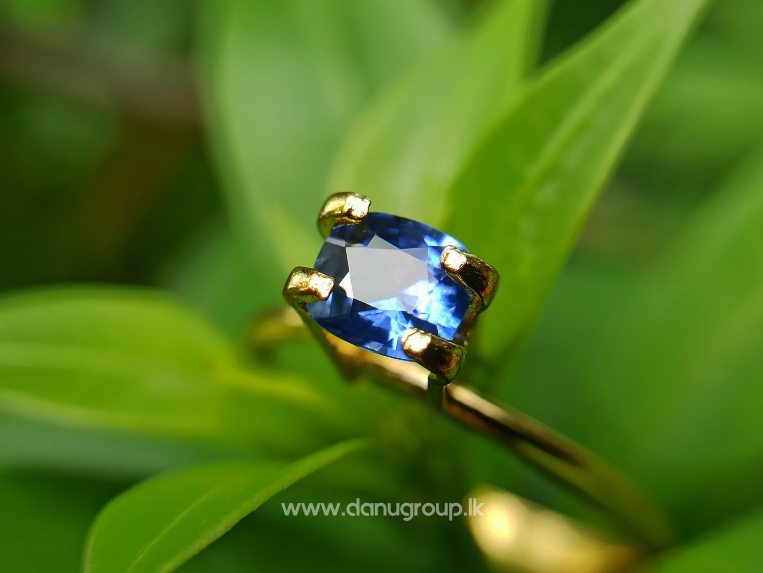 danugroup.lk - Ceylon Natural Cornflower Blue Sapphire Danu Group Gemstones Collections