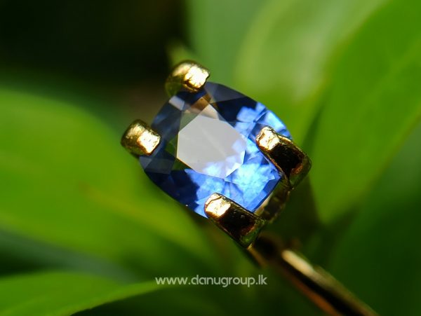 danugroup.lk - Ceylon Natural Cornflower Blue Sapphire Danu Group Gemstones Collections