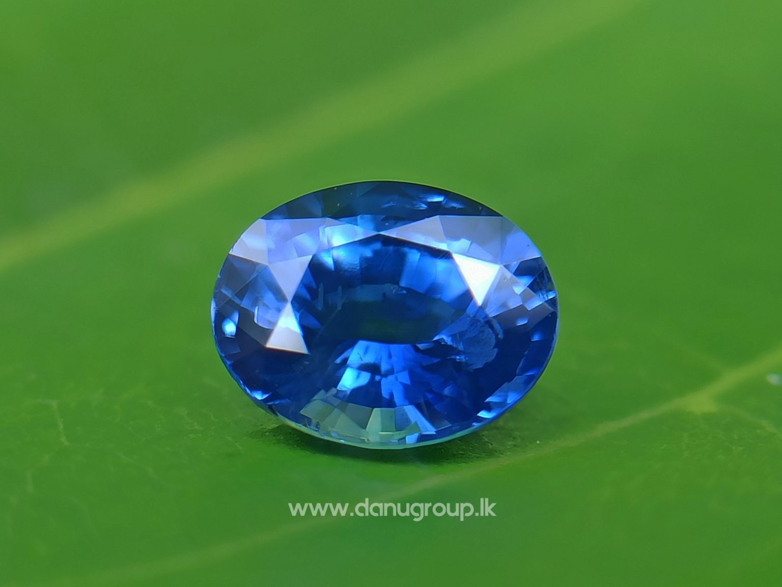 danugroup.lk - Ceylon Natural Cornflower Blue Sapphire Danu Group Gemstones Collections